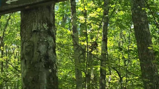 Day 70: 24 Miles, Mt Graylock, 1600 Miles, & Vermont (MM 1611), AT Thru-hike 2022