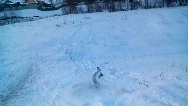 Типичные зимние выходные