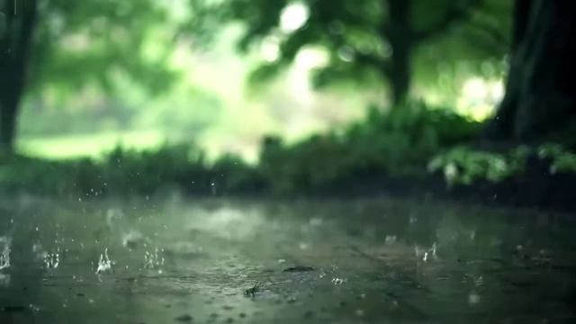 Невидимая брань 50