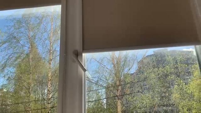 Видео WhatsApp 2025-04-22 в 15.09.48_adf279be