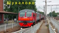 Электропоезд ЭД4М на платформе "Шувалово" в Санкт-Петербурге