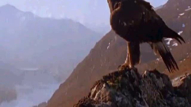 Master Your Reality(Dali lama XIV)