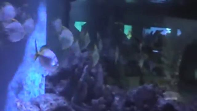 MOV01C