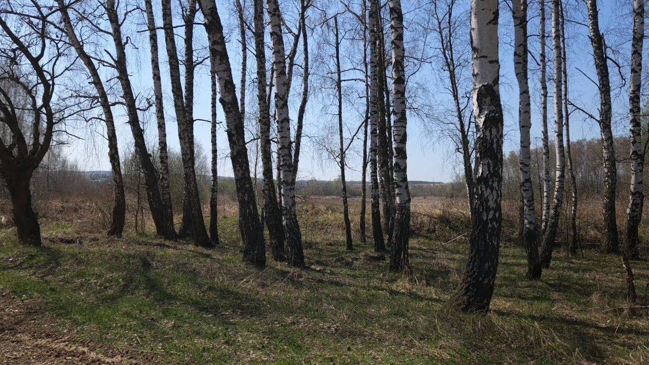 20.04.2025 10:57 воскресение. На разведку в честь начала сезона в рыбхоз Жигулёвский проверить озёра