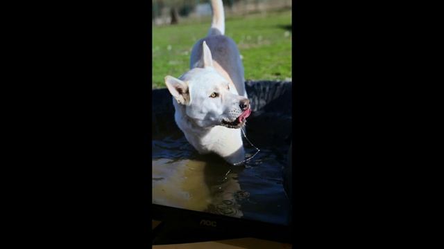 физика воды