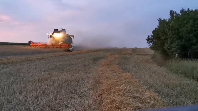Nocne ŻNIWA PSZENŻYTA 2020. CLAAS TUCANO 570