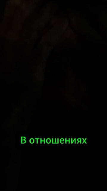 Надеюсь не у всех такие отношения.