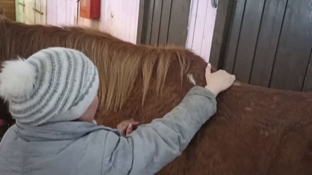 Хрусталь🥰делаем гимнастику(3)