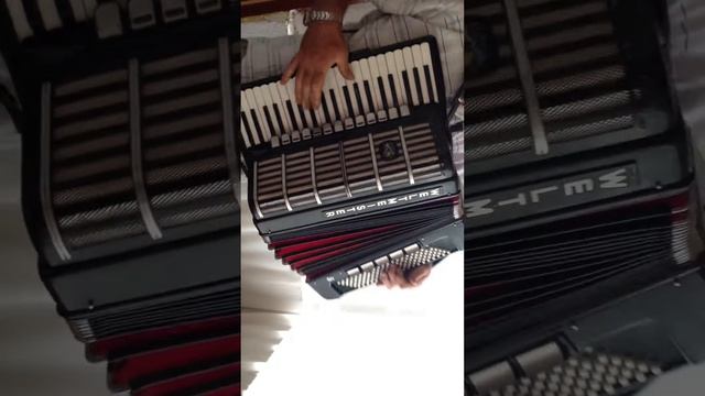 Weltmeister cantus v for sale