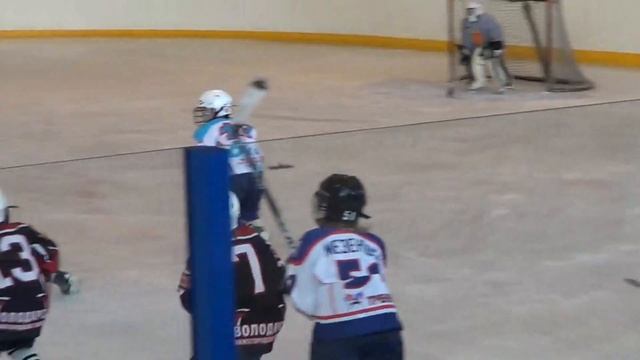 Триумф - Барс 3 период  19.01.2014