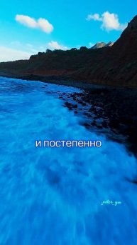 Цитата,которая переживёт время!