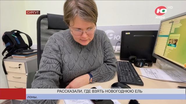Югорчан не оставят без живых новогодних ёлок