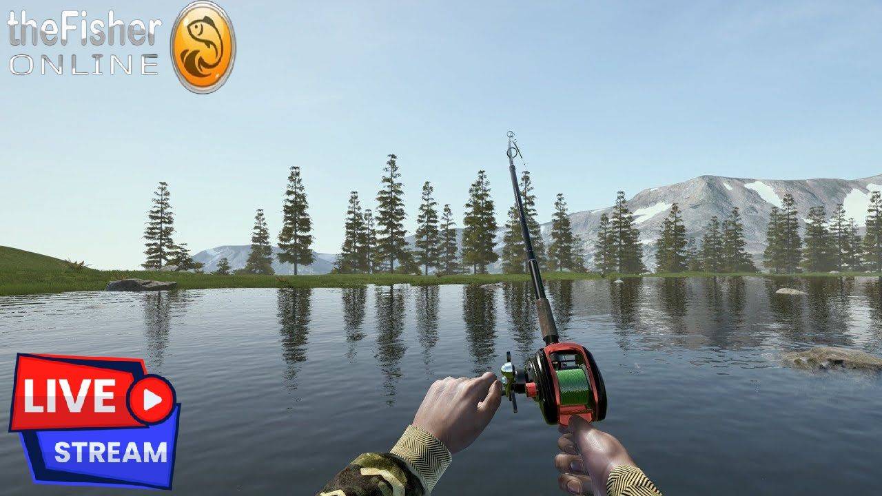 Fisher Online , ВЫХОЖУ НА ВЕЧЕРНЮЮ РЫБАЛКУ, НА ДОНКИ, ЛОВЛЯ БЕЛОЙ РЫБЫ !!