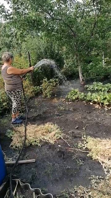 21 июля 2020 г.