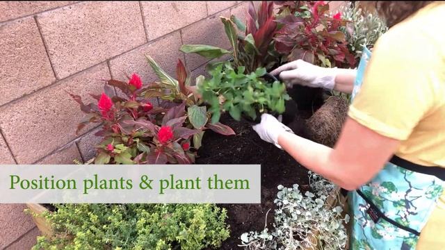 How to Plant Garden Beds with a BOLD Burgundy & Silver Flower Theme