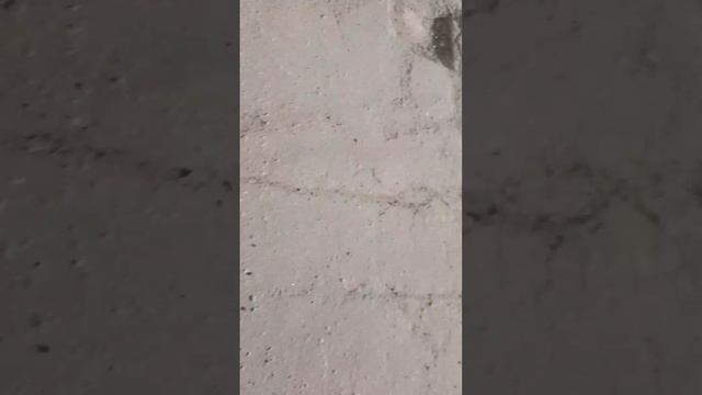 налаооататабалада