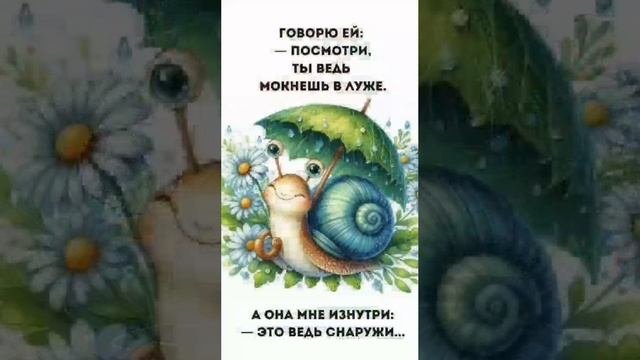 Смотрю как в зеркало