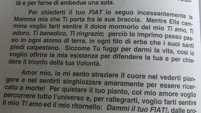 Undicesima ora, giri dell’anima nell’operato della divina Volontà