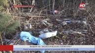 Холодильник и гусеницы от трактора: пойковчане рассказали о находках «Экологической полигонки»