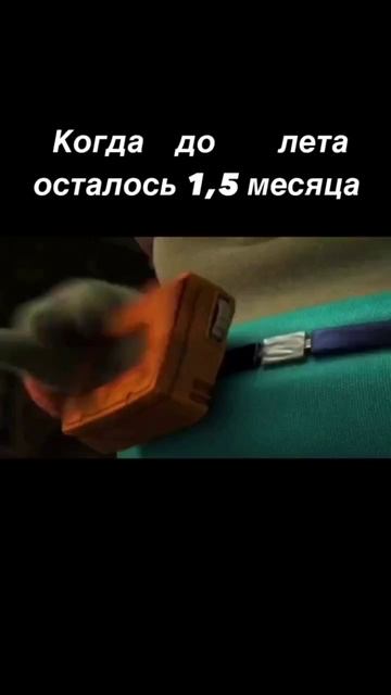 Когда до лета осталось 1,5 месяца