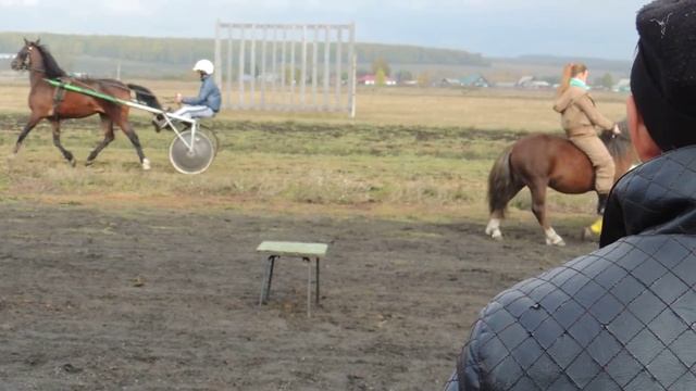 Козырь