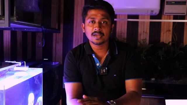 Best Water For Fish Tank | மீன் தொட்டிக்கு என்ன தண்ணீர் பயன்படுத்தலாம் | Cloning Aqua