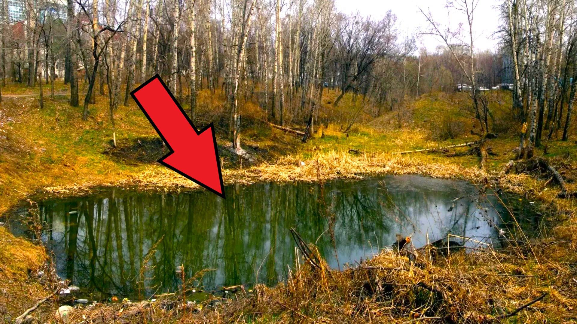 Какая рыба живёт в заброшенном пруду. Установил несколько камер.