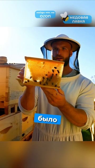 КТО ТАКИЕ ТРУТНИ?!🍯🐝#пчелы #факты #здоровье #мёд #пчеловодство #топ #еда #рек #интересно