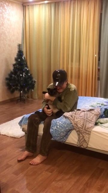Отец пришёл успокоить сиамского кота (крокодил Данди)