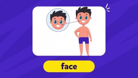 Learn Body Parts with Flash Cards!