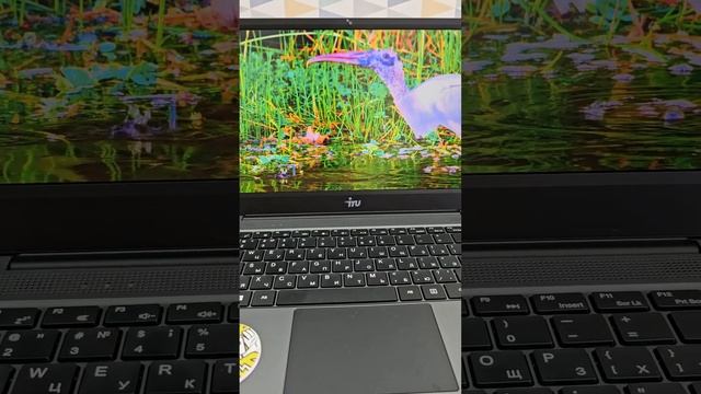 Ноутбук IRU Tactio 14RLH на процессоре Ryzen 5
