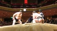 Japan - SUMO! 2