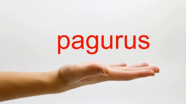 How to Pronounce pagurus - American English