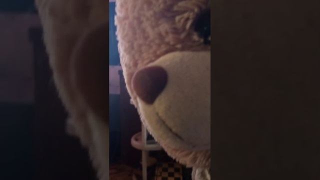 Тедди играет в игру