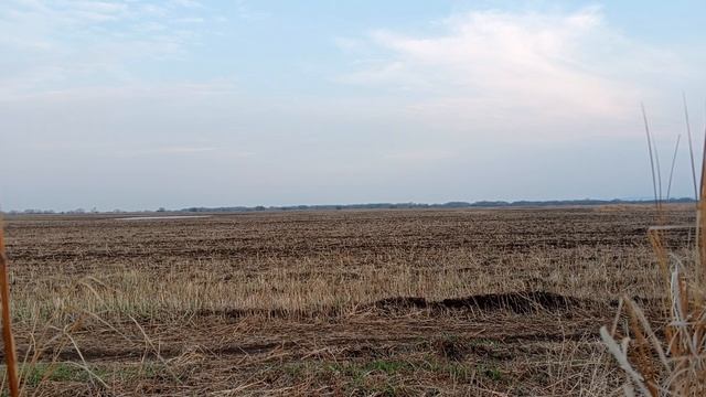 В ожидании налетов