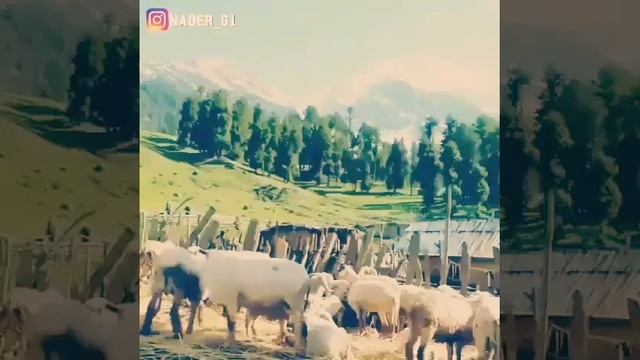 Баъд аз Худо, танхо умедам модар!!