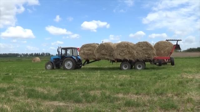Сенокос 2019: Транспортировка рулонов с сеном к месту хранения