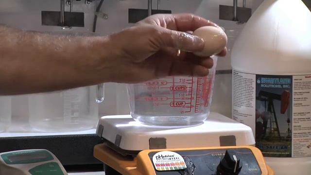 Oil Safe AR Egg Demo.m4v