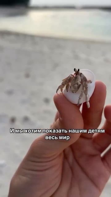 С заботой о детях))