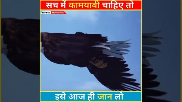 The Eagle Attitude - The Eagle And Crow a Powerful Story About Rising Negativity In Hindi