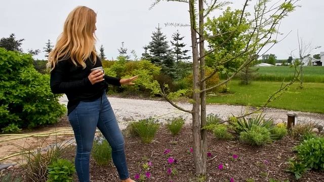 Flower Garden Tour / Window Boxes & Gardens For Your Home / Spring Planting
