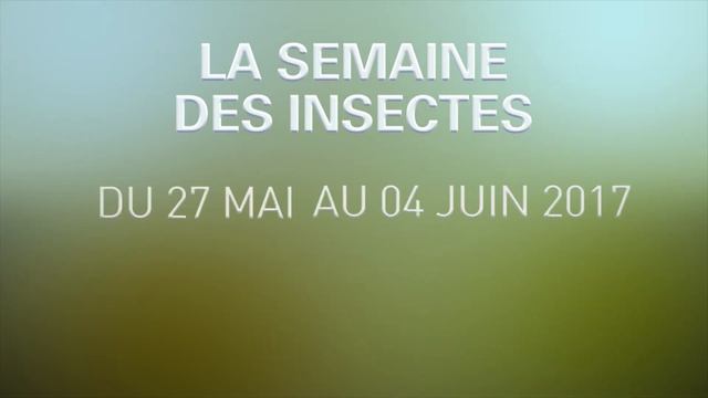 La Semaine des Insectes