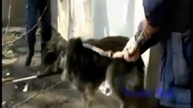 Это должны увидеть все...