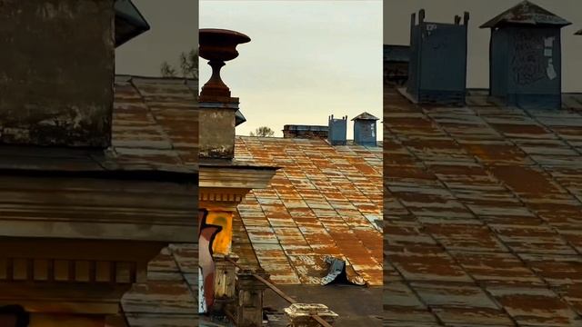 1000026201.mp4