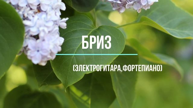 Авторская музыка: Бриз.