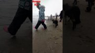 #анапа #юг #зиманаюге
