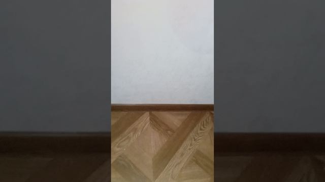 Ночная жизнь котиков.
