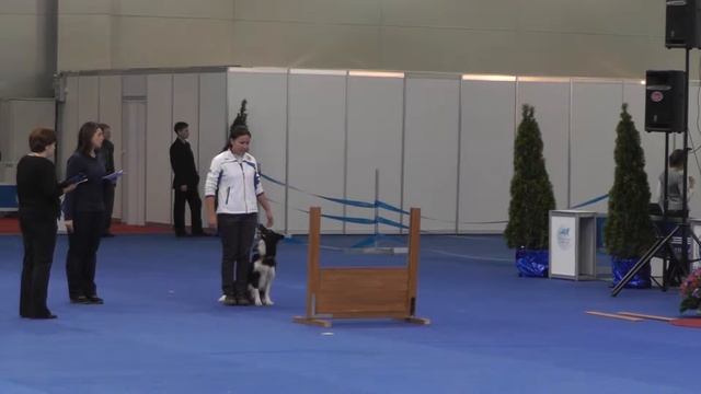 Обидиенс "Россия 2013"