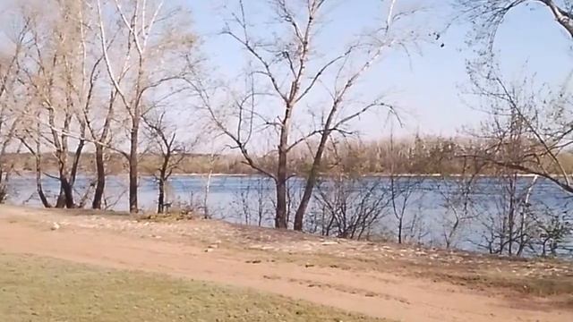 Остров Проран, он же Поджабный в Самарской области!