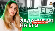 Задание №1 на ЕГЭ по биологии | Биология ЕГЭ 10 класс | Умскул